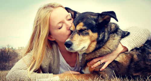 5 tips voor een gezonde hond en kat! topic icon